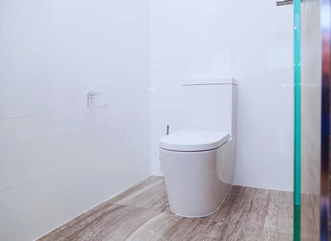 Remplacement de wc Les Sorinières