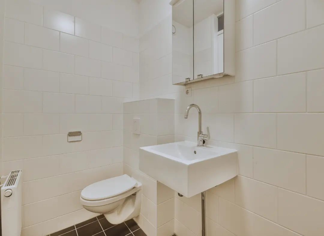 Pose WC Suspendu Les Sorinières